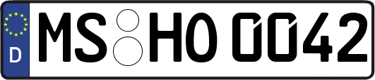 MS-HO0042