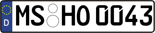 MS-HO0043