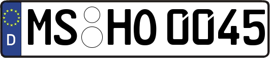 MS-HO0045