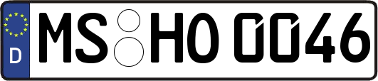 MS-HO0046