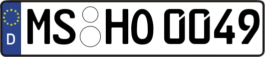 MS-HO0049