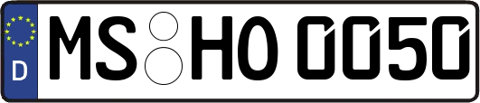 MS-HO0050
