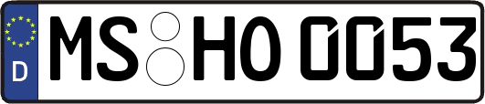 MS-HO0053