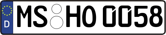 MS-HO0058