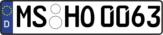 MS-HO0063