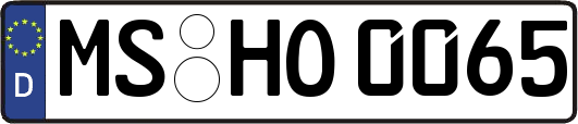 MS-HO0065