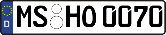 MS-HO0070