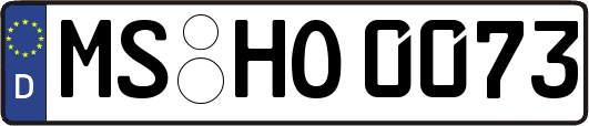 MS-HO0073