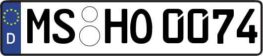 MS-HO0074