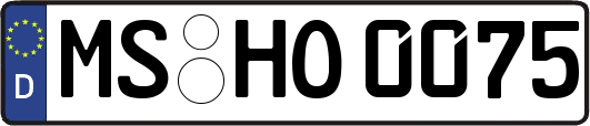 MS-HO0075