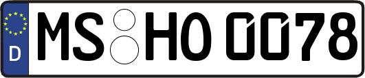 MS-HO0078