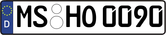 MS-HO0090