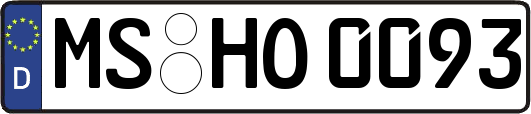 MS-HO0093