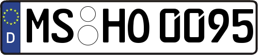 MS-HO0095