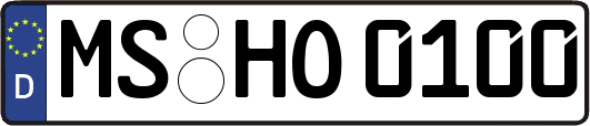 MS-HO0100