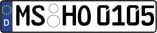 MS-HO0105