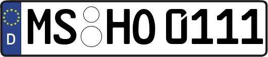 MS-HO0111