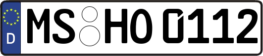MS-HO0112