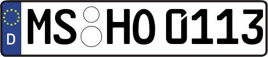 MS-HO0113