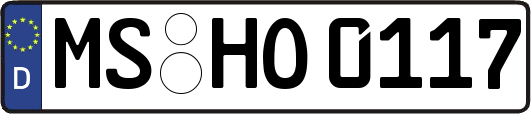 MS-HO0117
