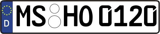 MS-HO0120