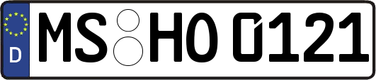 MS-HO0121