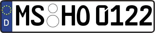 MS-HO0122