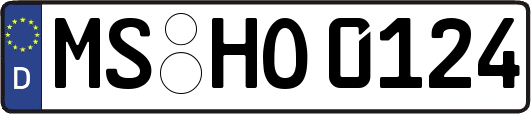 MS-HO0124