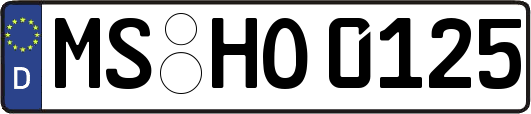 MS-HO0125