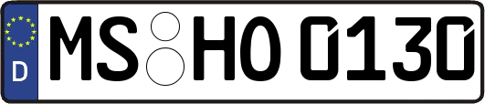 MS-HO0130