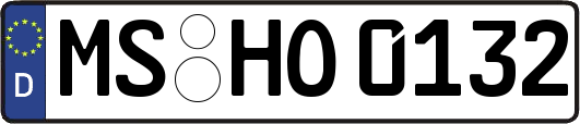 MS-HO0132