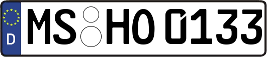 MS-HO0133