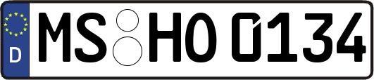 MS-HO0134