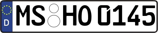 MS-HO0145