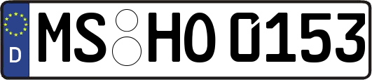 MS-HO0153