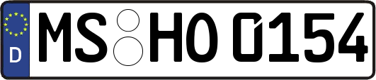 MS-HO0154