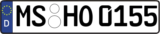 MS-HO0155