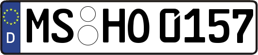 MS-HO0157