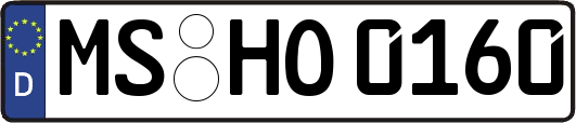 MS-HO0160