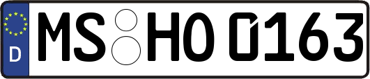 MS-HO0163