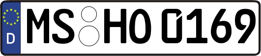 MS-HO0169