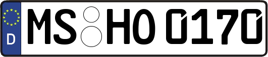 MS-HO0170