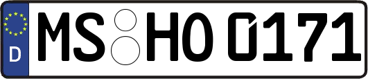 MS-HO0171