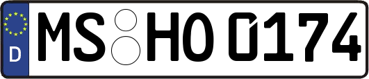 MS-HO0174