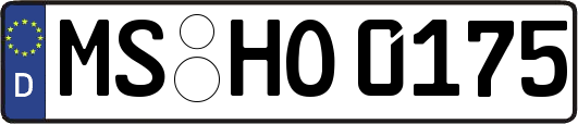 MS-HO0175