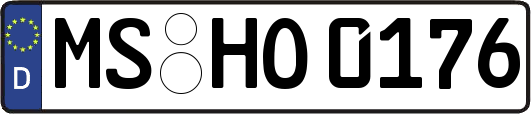 MS-HO0176
