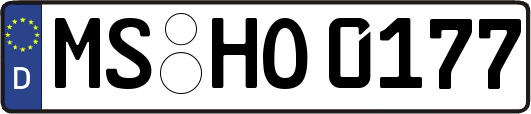 MS-HO0177