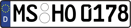 MS-HO0178