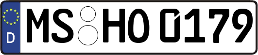 MS-HO0179