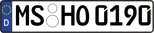MS-HO0190